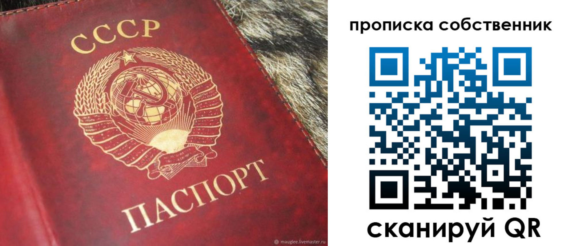 прописка в квартире в Россоши